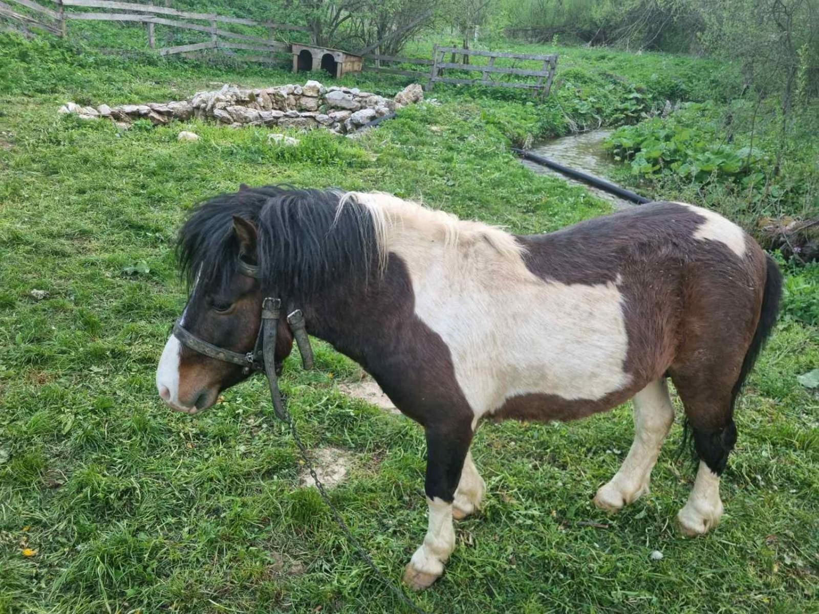 Vila Jasen - Bjelasnica Saraybosna Dış mekan fotoğraf